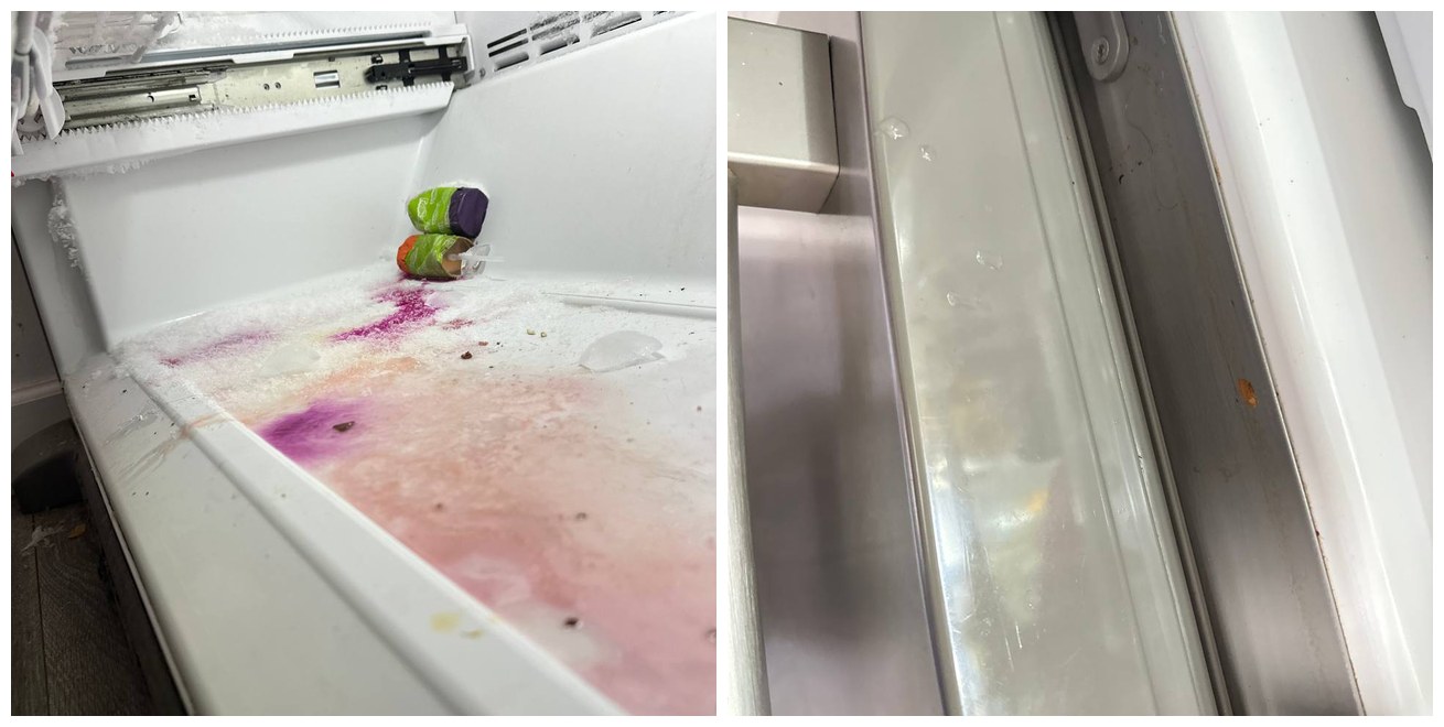 Ice Maker Issue Resolved by Removing Hidden Door Obstruction